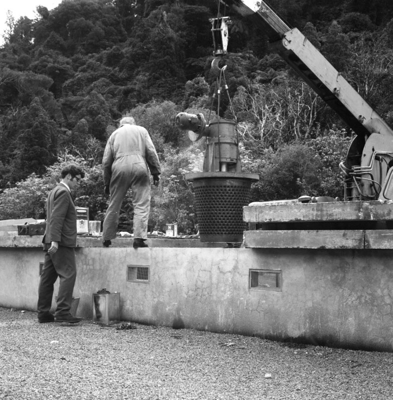 g. 24 inch Wainui Main