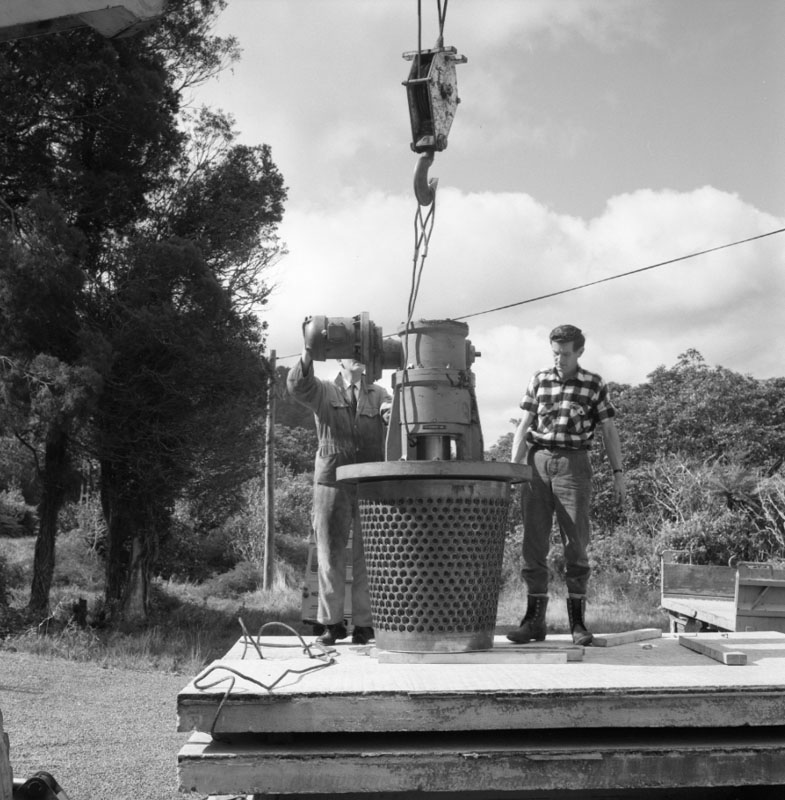 h. 24 inch Wainui Main