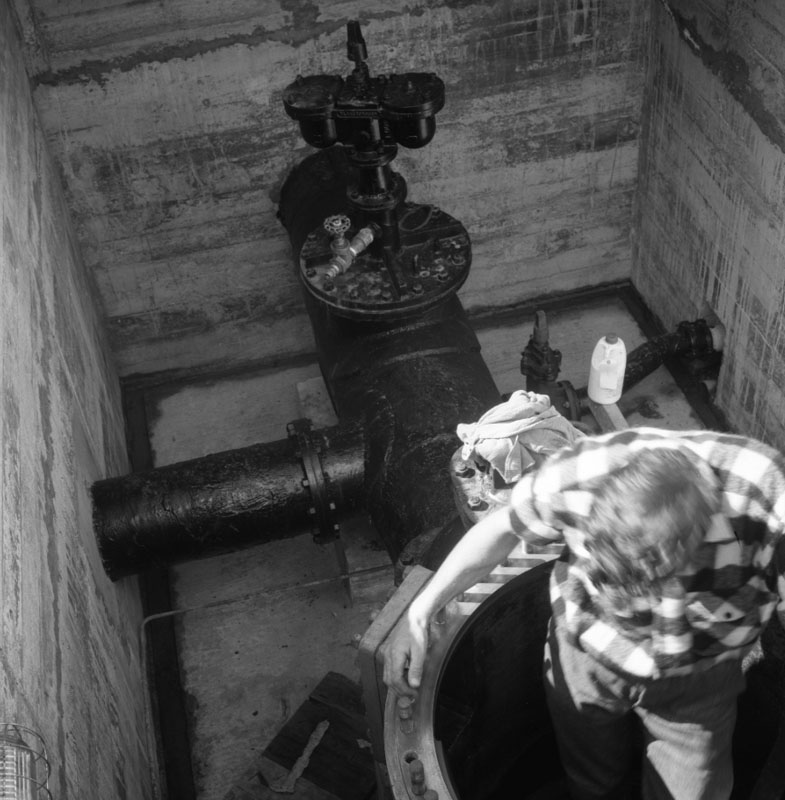 b. Kinney Strainer - Wainui