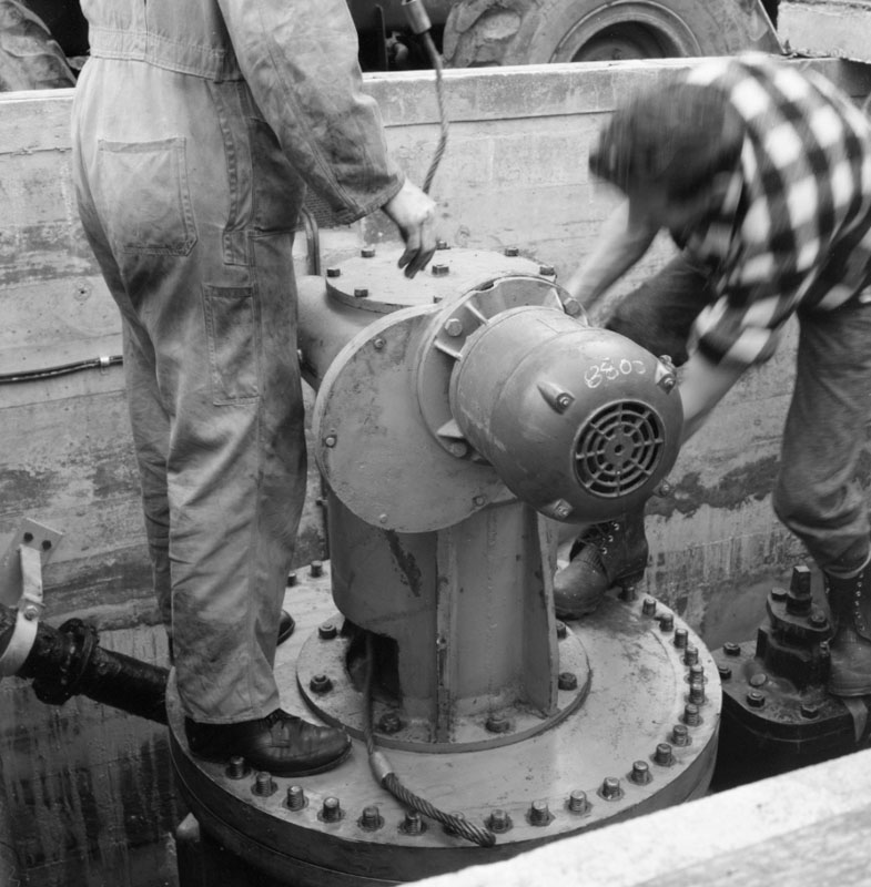 c. Kinney Strainer - Wainui