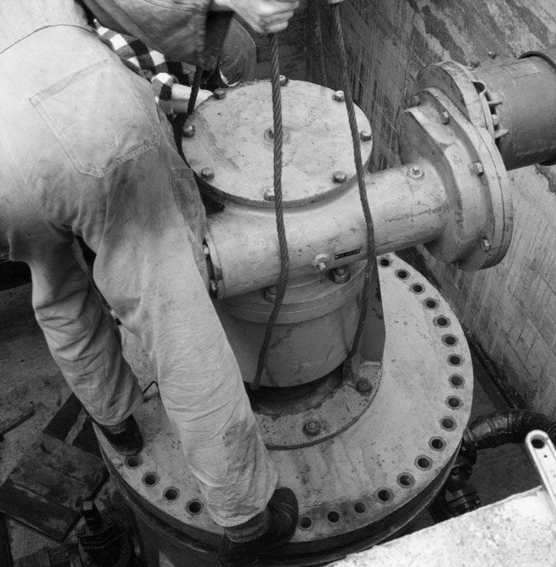 d. Kinney Strainer - Wainui