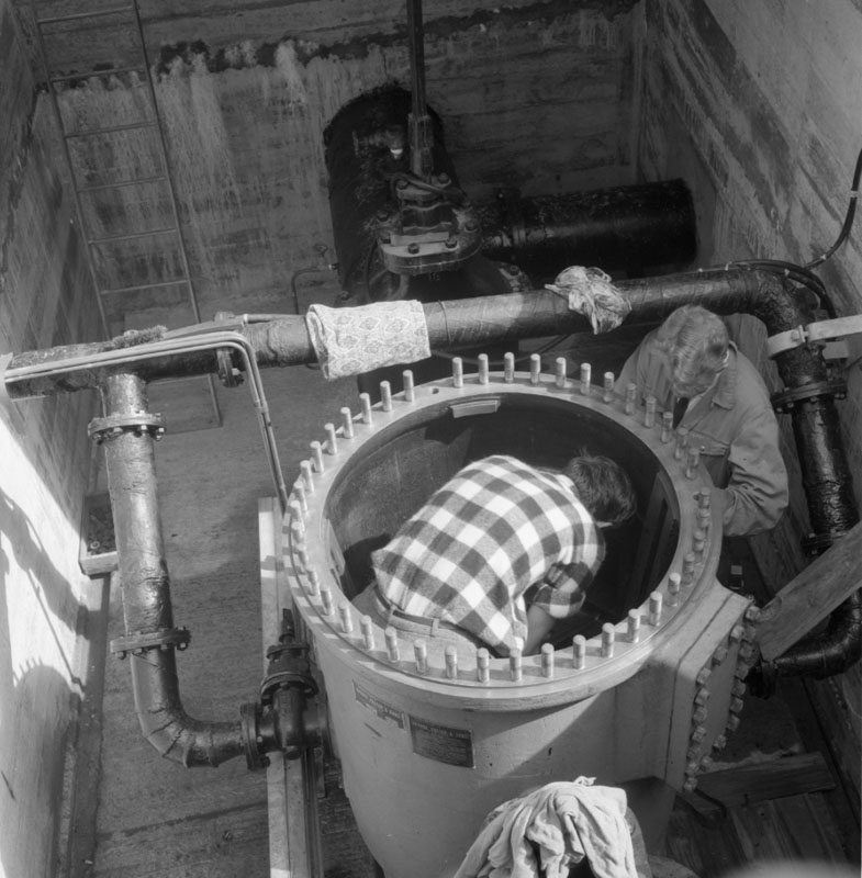 f. Kinney Strainer - Wainui