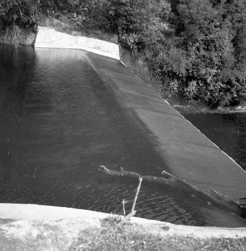 g. Kinney Strainer - Wainui