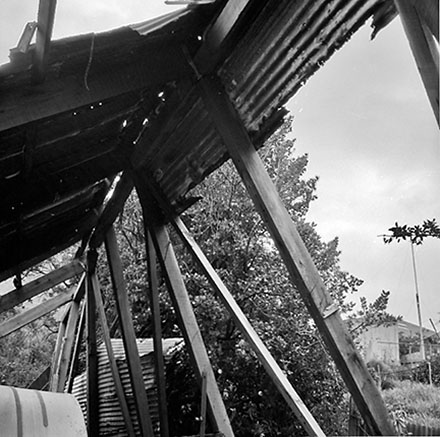 b. 33 Hawker Street, Mount Victoria - backyard and collapsed garage