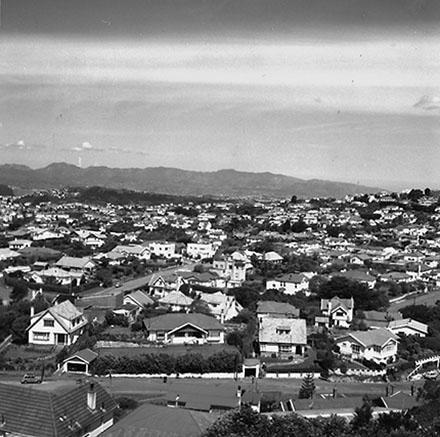 a. Karori from Barton's Bush