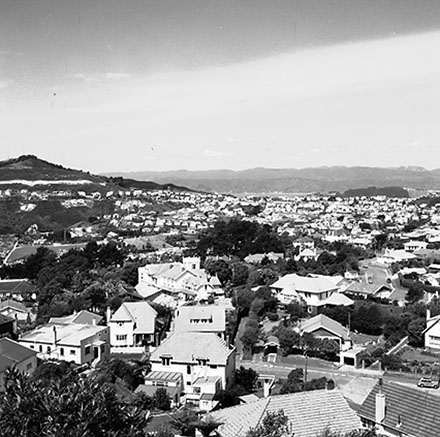 b. Karori from Barton's Bush