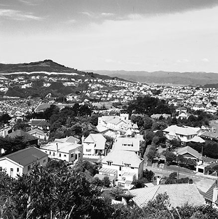 c. Karori from Barton's Bush