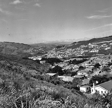 d. Karori from Barton's Bush