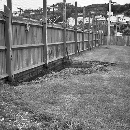 a. Wooden Fence, Miramar Park