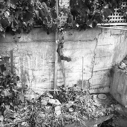 b. Cracked concrete wall, 60a Ferry Street
