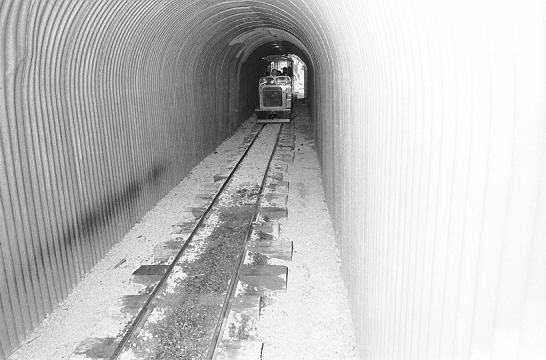 b. Zoo miniature railway