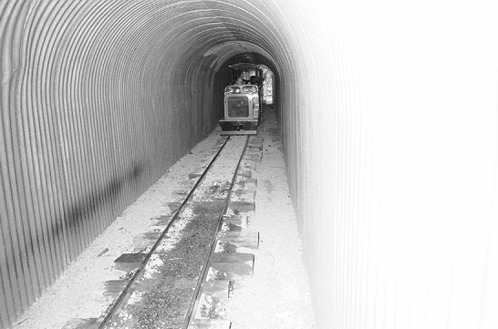 c. Zoo miniature railway