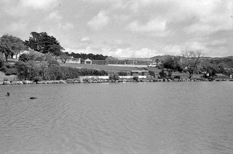 k. Zoo miniature railway