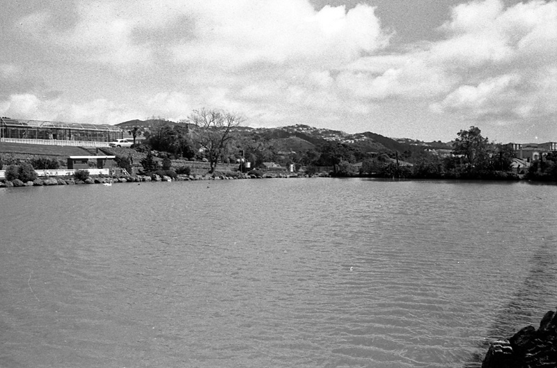 m. Zoo miniature railway