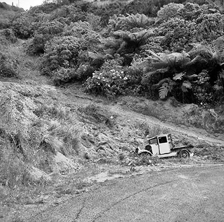 a. Koromiko Road and Mount Pleasant Road, Mitchelltown