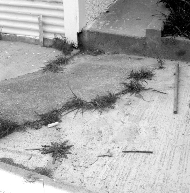 d. Nos 148 and156 Hanson St