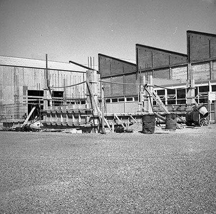 a. Exterior, Bus and Tram Barns, Kilbirnie