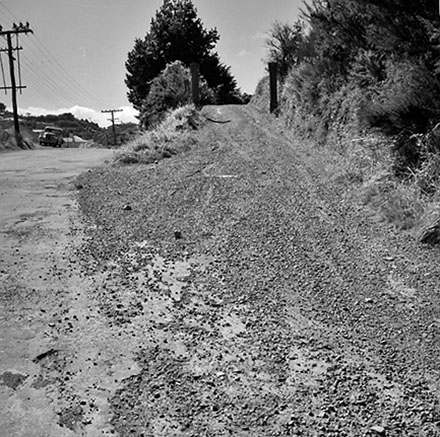 a. Totara urban subdivision, Bassett Road, Johnsonville