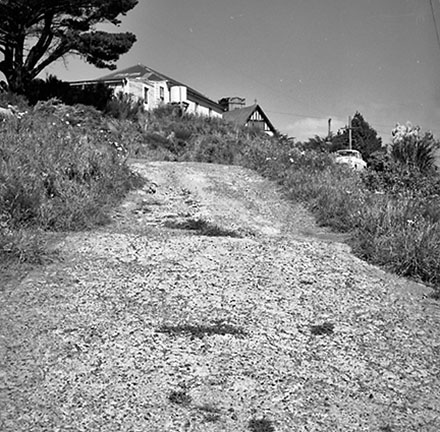 b. Totara urban subdivision, Bassett Road, Johnsonville