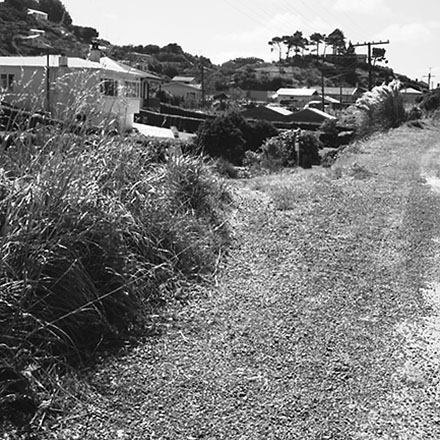 c. Totara urban subdivision, Bassett Road, Johnsonville