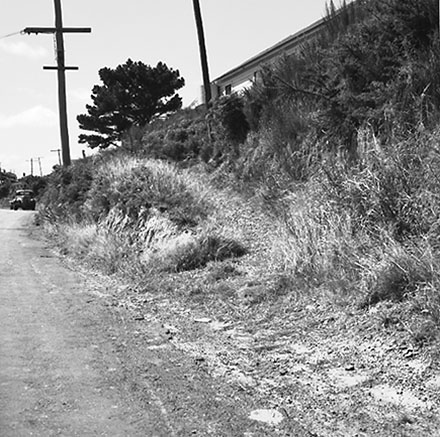 d. Totara urban subdivision, Bassett Road, Johnsonville