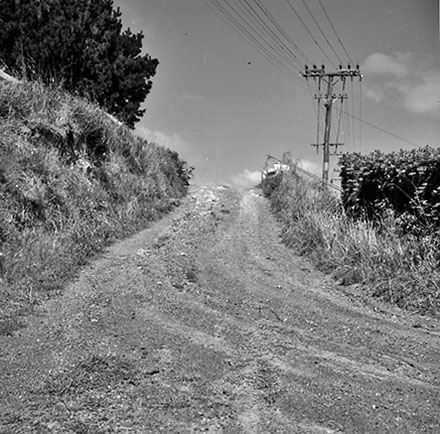 e. Totara urban subdivision, Bassett Road, Johnsonville