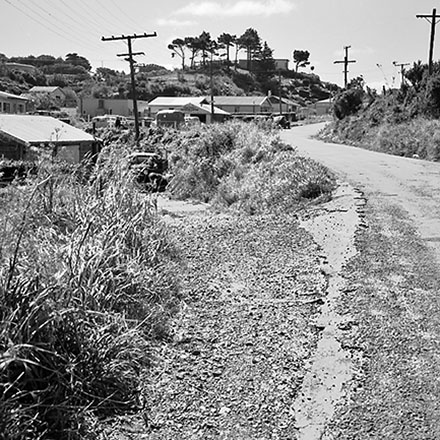 g. Totara urban subdivision, Bassett Road, Johnsonville