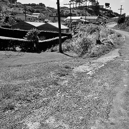 i. Totara urban subdivision, Bassett Road, Johnsonville