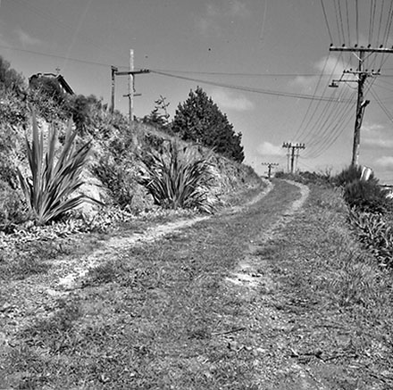 j. Totara urban subdivision, Bassett Road, Johnsonville