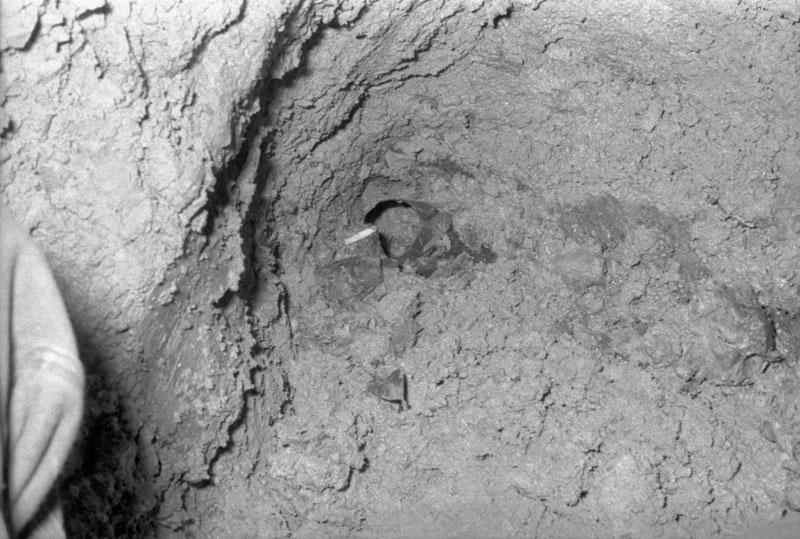 c. Sewer, No 106 Upland Rd