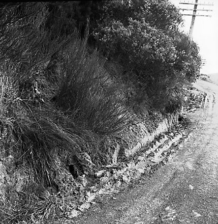 b. Collapsed bank, dwellings