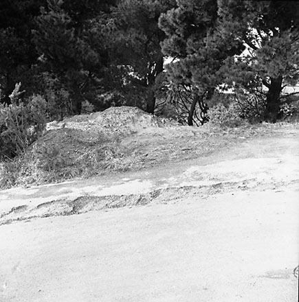 d. Collapsed bank, dwellings