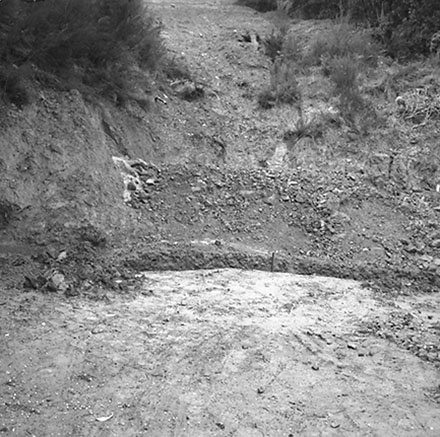 b. Drainage Work, Ngaio Road