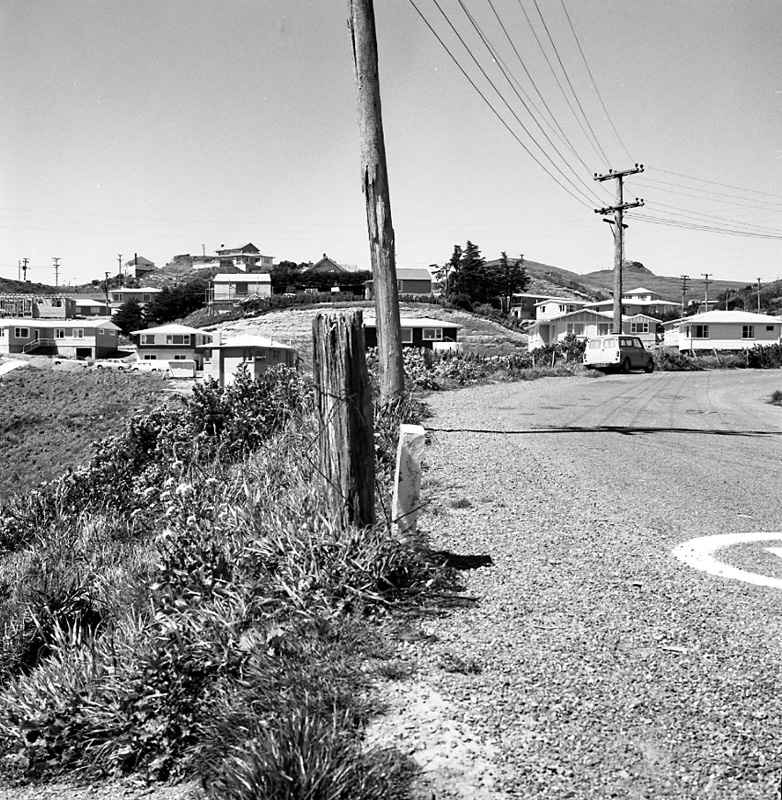 a. No 49 Glanmire Rd