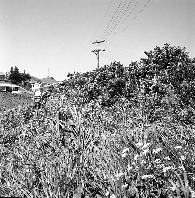 c. No 49 Glanmire Rd