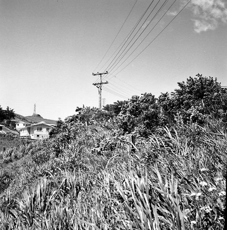 d. No 49 Glanmire Rd