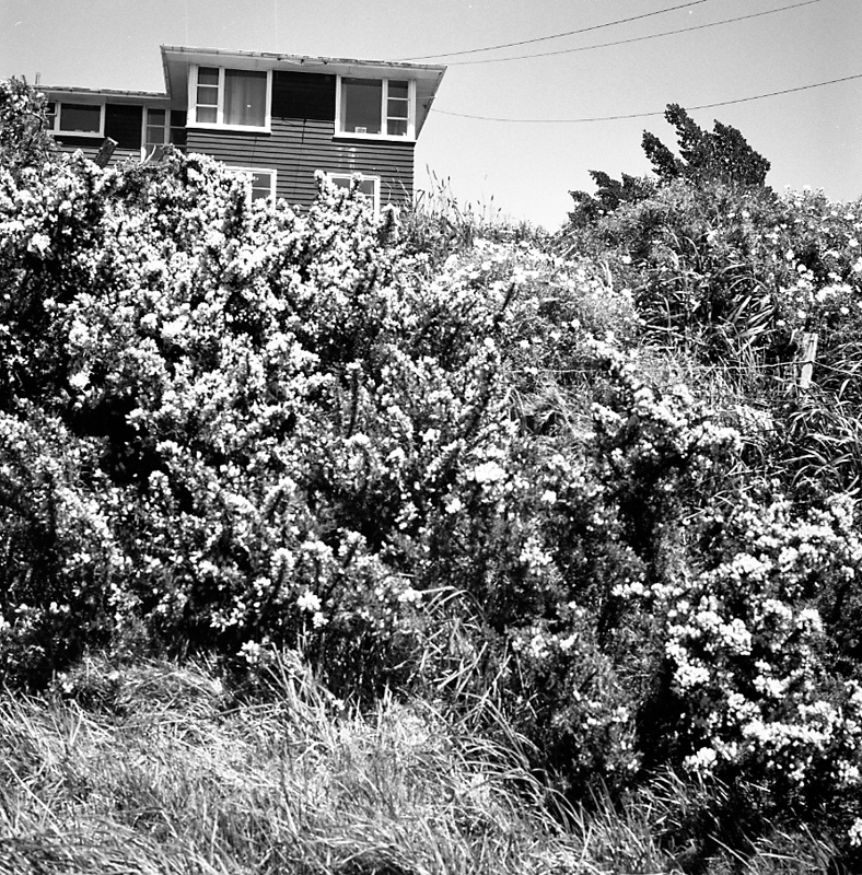 e. No 49 Glanmire Rd