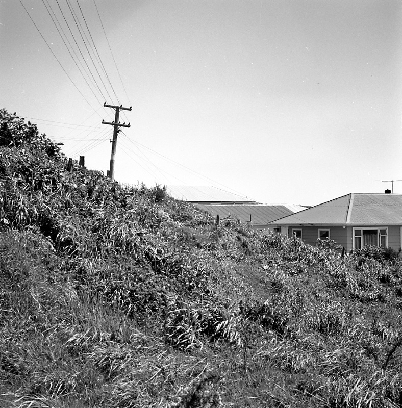 f. No 49 Glanmire Rd