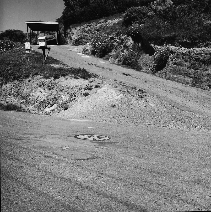 h. No 49 Glanmire Rd