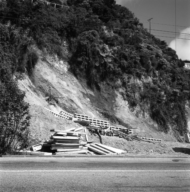 a. Karori Flats, Chaytor Street (A Williams)
