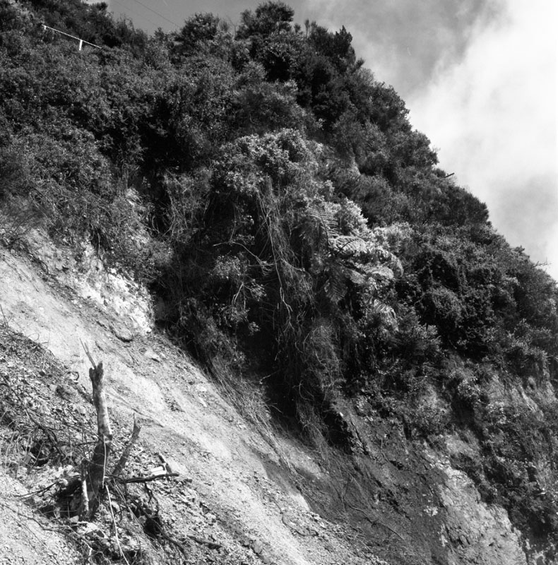 d. Karori Flats, Chaytor Street (A Williams)