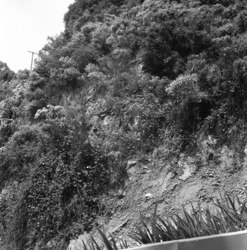 e. Karori Flats, Chaytor Street (A Williams)