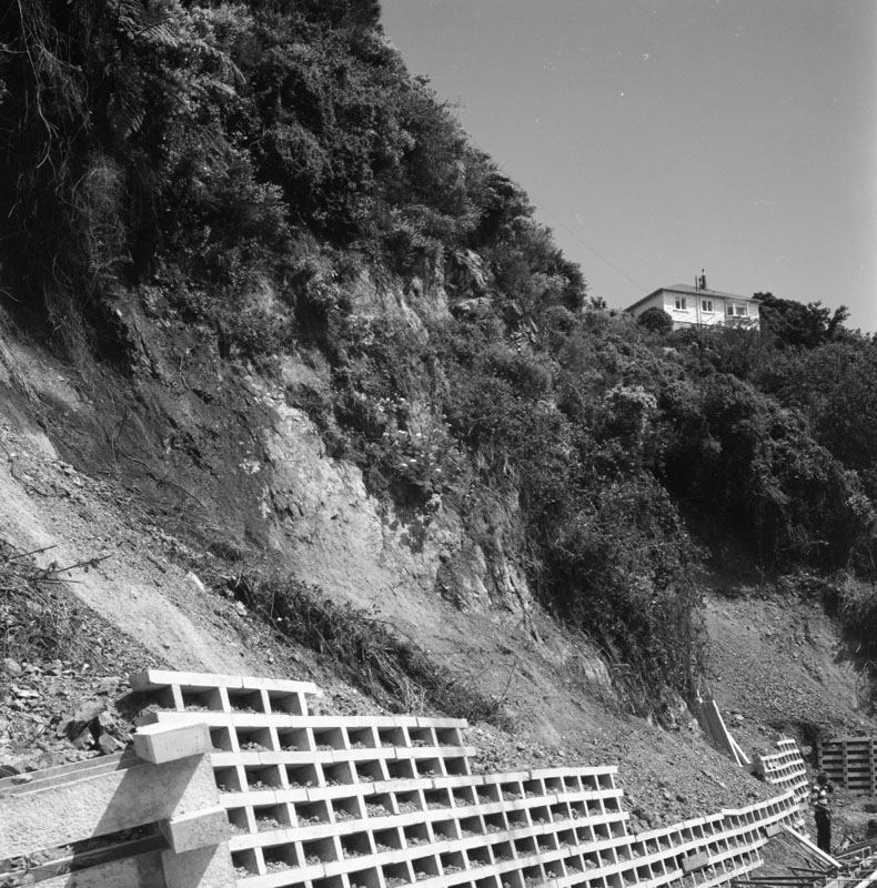 g. Karori Flats, Chaytor Street (A Williams)
