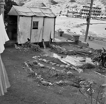 a. Front Yard, 86 Ohiro Bay Parade