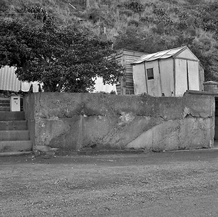 b. Front Yard, 86 Ohiro Bay Parade