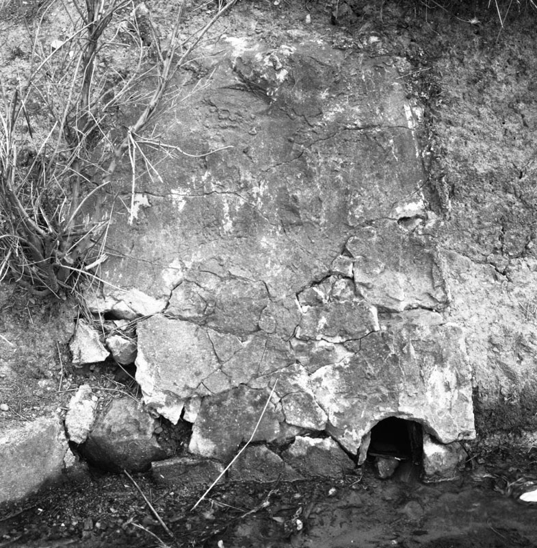 a. No 13 Tio Tio Road, roots blocking drain on road reserve