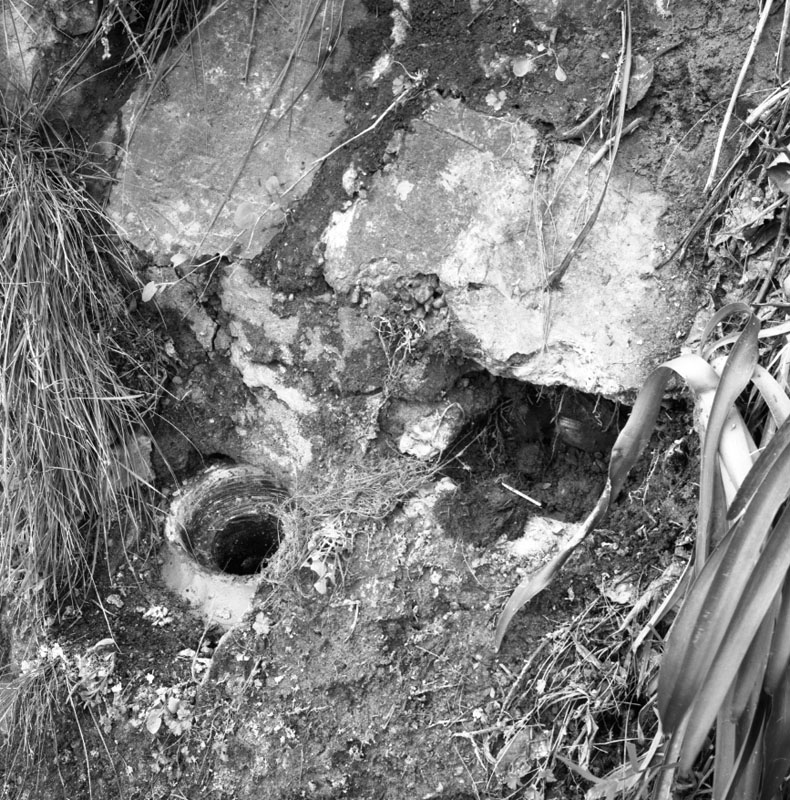 b. No 13 Tio Tio Road, roots blocking drain on road reserve