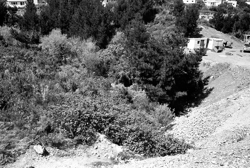 y. 42 inch SW Main, Johnsonville