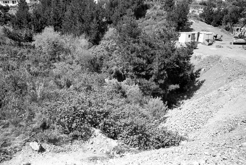 z. 42 inch SW Main, Johnsonville