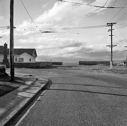 e. Streetscape, Hector Street, Seatoun